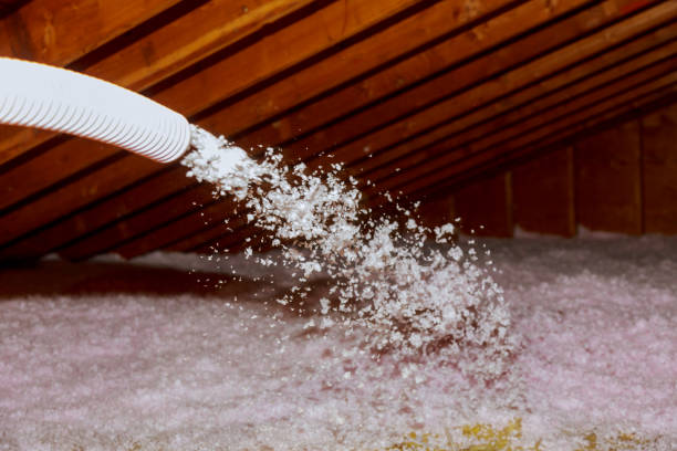 Trusted North Aurora, IL Insulation Contractor Experts